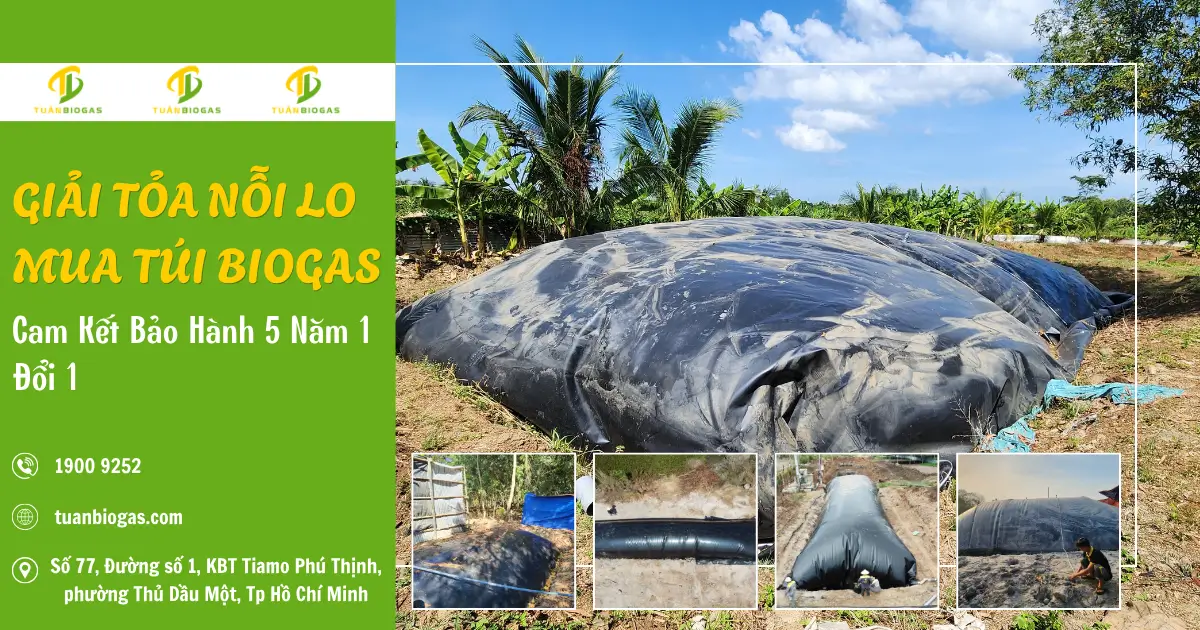 Giải Tỏa Nỗi Lo Mua Túi Biogas: Đừng Sợ Mất Tiền Oan, Đã Có Tuấn Biogas Đồng Hành Bảo Hành 5 Năm 1 Đổi 1!